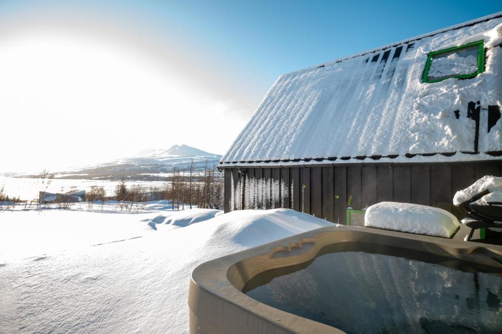 فنادق مناسبة للعائلات في أكوريري