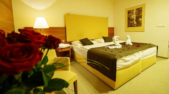 فنادق مع مسابح في بوبراد سلوفاكيا