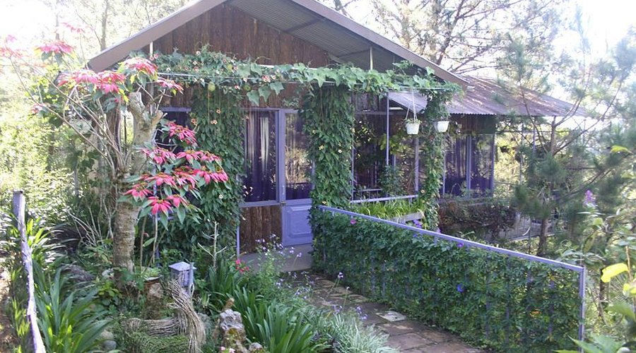 فنادق بإطلالة جبلية رائعة في دا لات