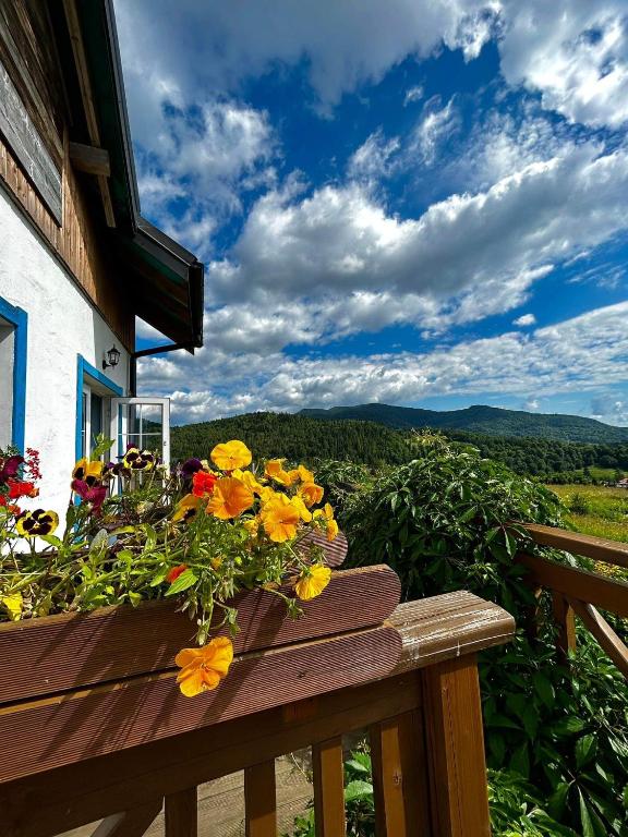 فنادق مناسبة للعائلة في بيشزادي