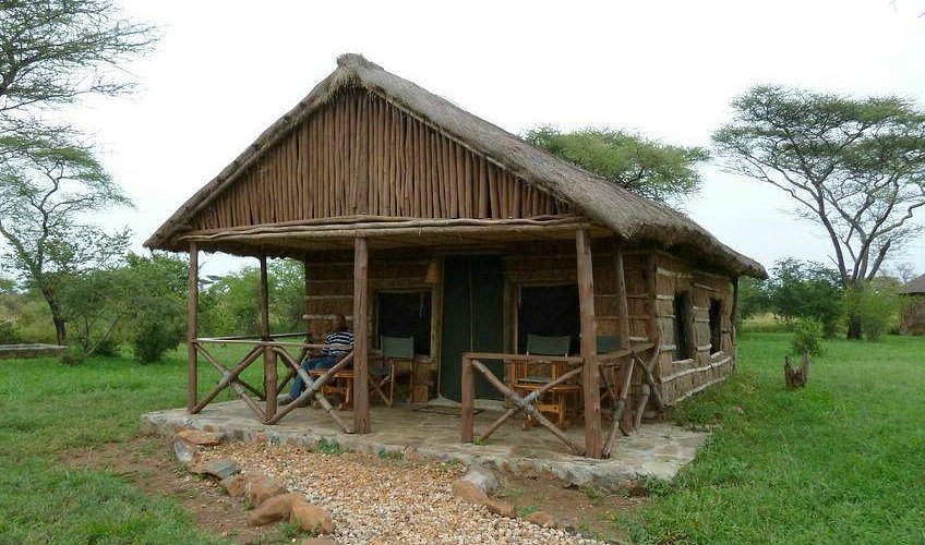 فنادق اقتصادية في سيرينجيتي