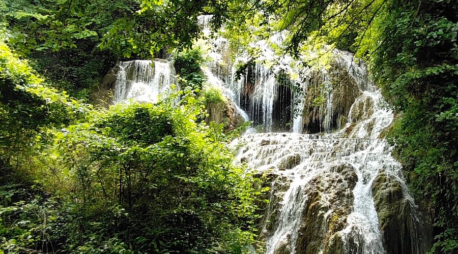 فنادق مع إطلالات خلابة على منتزه كركا الوطني