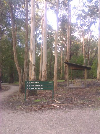 منتجعات وبيوت عطلات فاخرة في لورن، أستراليا