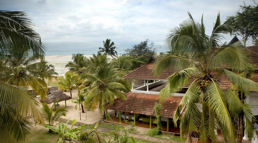 فنادق قريبة من شاطئ أليبّي المشهور