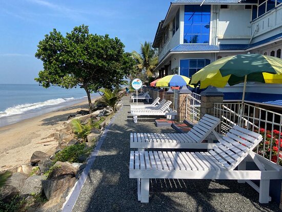 فنادق قريبة من شاطئ أليبّي المشهور