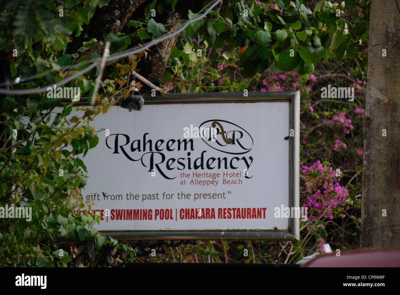 فنادق مناسبة للعائلات في أليبّي