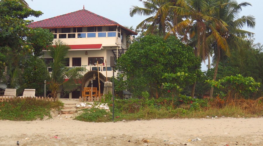 فنادق قريبة من شاطئ أليبّي المشهور