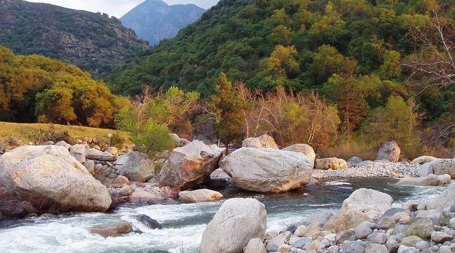 فنادق اقتصادية بالقرب من منتزه سيكويا الوطني