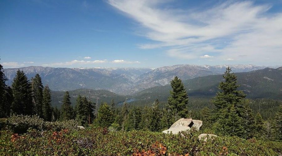 فنادق اقتصادية بالقرب من منتزه سيكويا الوطني