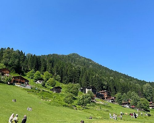 فنادق رومانسية في آيدر يايلاسى 