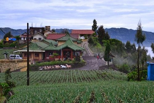 فنادق قريبة من نقطة مشاهدة شروق الشمس في برومو 