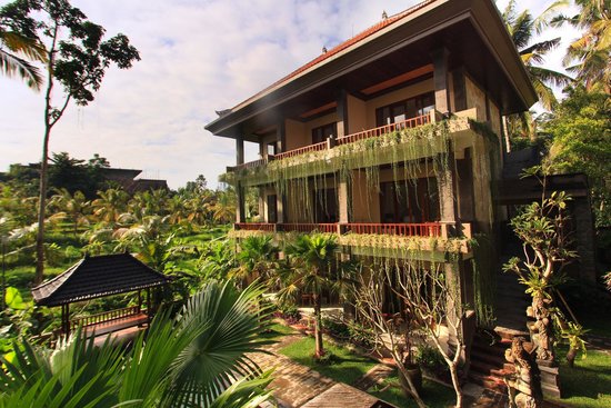 فنادق اقتصادية في أوبود بالي 