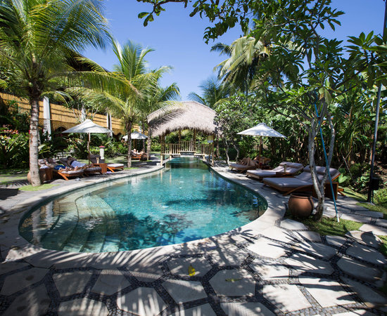 فنادق بالقرب من غابة القرود المقدسة في أوبود بالي 