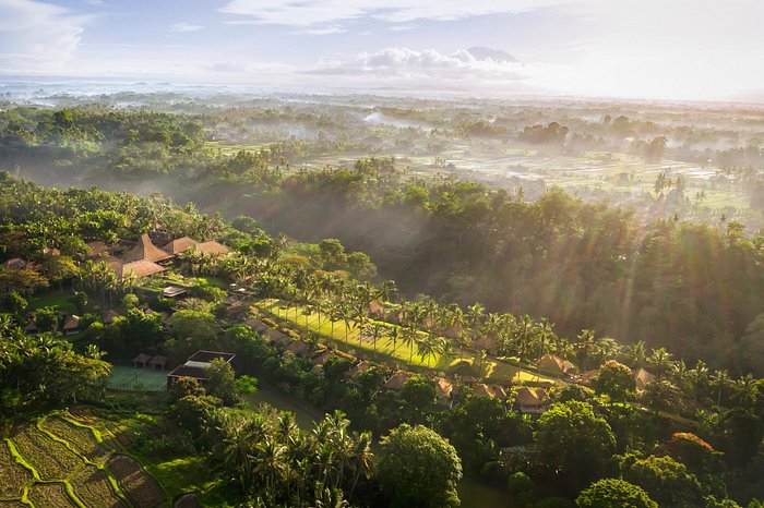 فنادق عائلية في أوبود بالي 