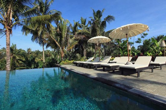 فنادق بالقرب من غابة القرود المقدسة في أوبود بالي 