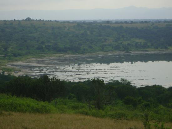 فنادق اقتصادية في حديقة الملكة إليزابيث الوطنية