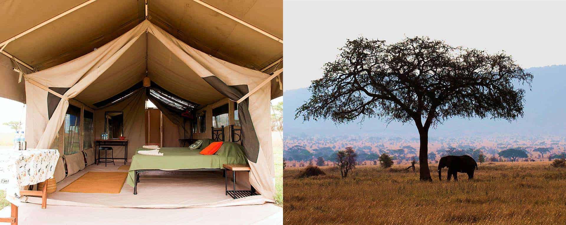 فنادق اقتصادية في سيرنجيتي 