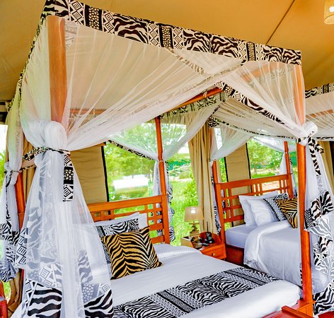 فنادق اقتصادية في سيرنجيتي 