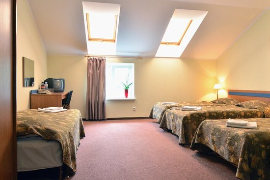 فنادق اقتصادية في فيلنيوس 