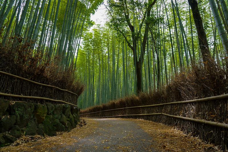 Arashiyama