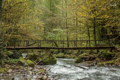 Borjomi-Kharagauli National Park