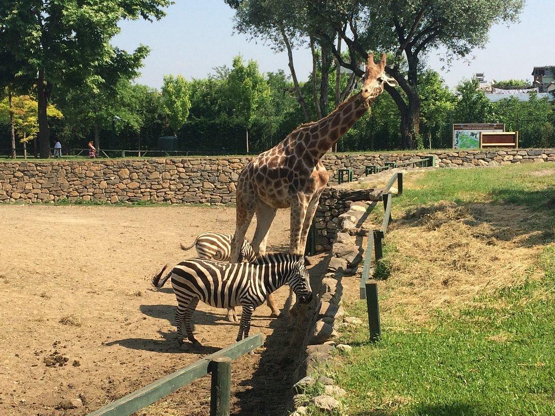 Bursa Zoo