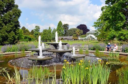 Cambridge University Botanic Garden