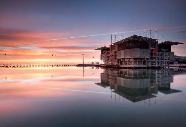 Lisbon Oceanarium