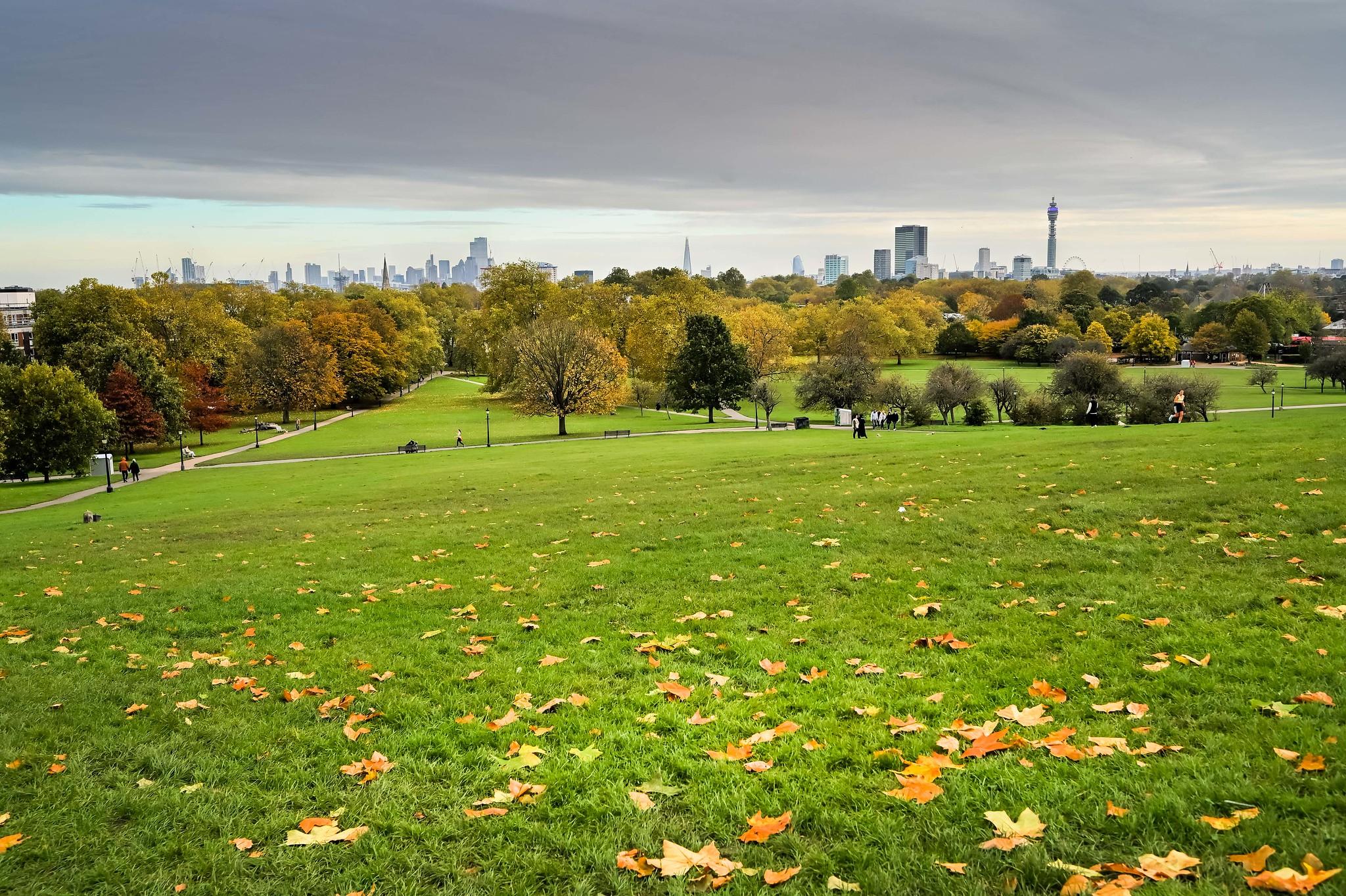 Primrose Hill