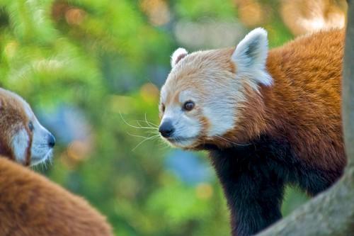 Sacramento Zoo