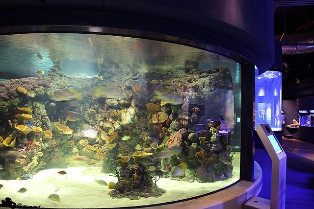 Scitech Technology Center