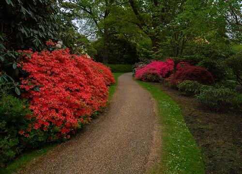 The Savill Garden